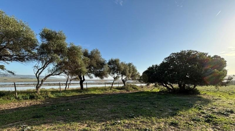 Cadiz - Barbate - 36000m2