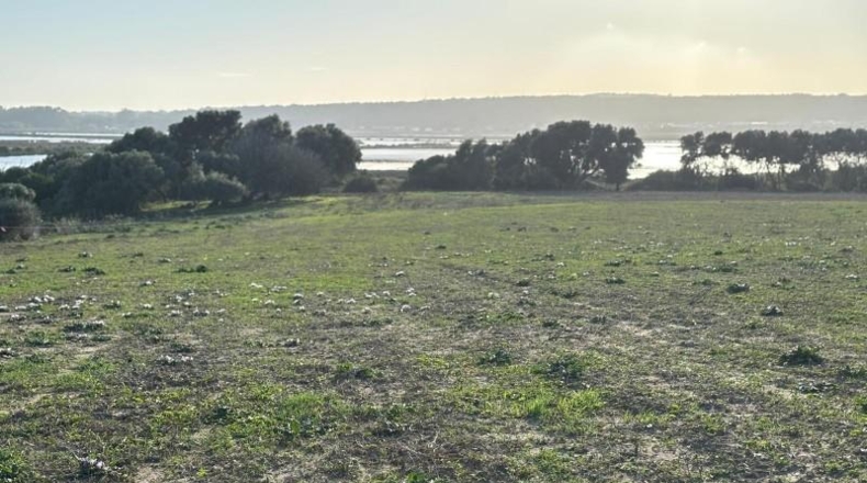 Cadiz - Barbate - 36000m2