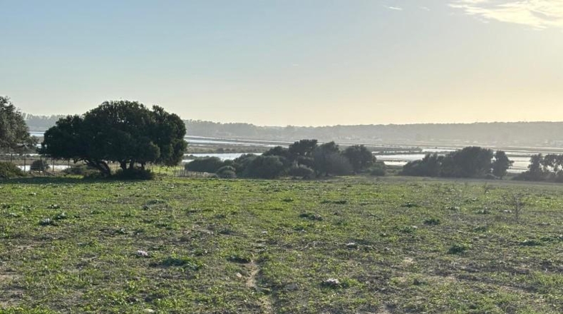 Cadiz - Barbate - 36000m2