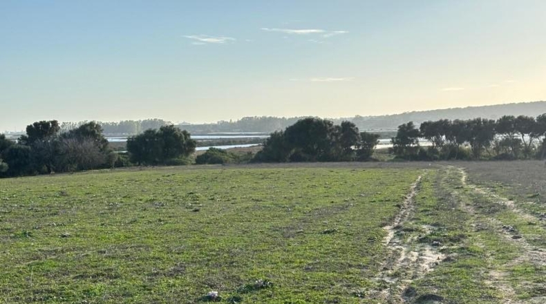 Cadiz - Barbate - 36000m2