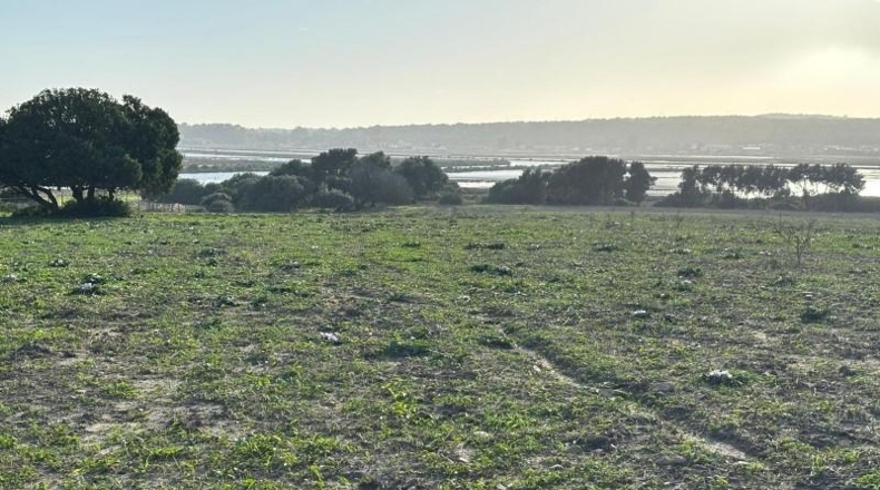 Cadiz - Barbate - 36000m2