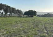 Terreny no urbanitzable en venda a la España, Barbate, ref.: TR177955 foto