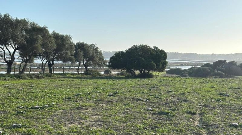 Cadiz - Barbate - 36000m2