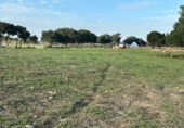 Terreny no urbanitzable en venda a la España, Barbate, ref.: TR177955 foto