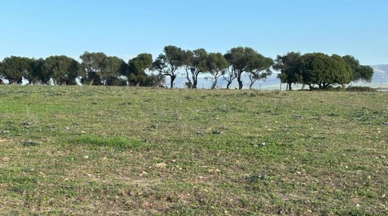 Cadiz - Barbate - 36000m2
