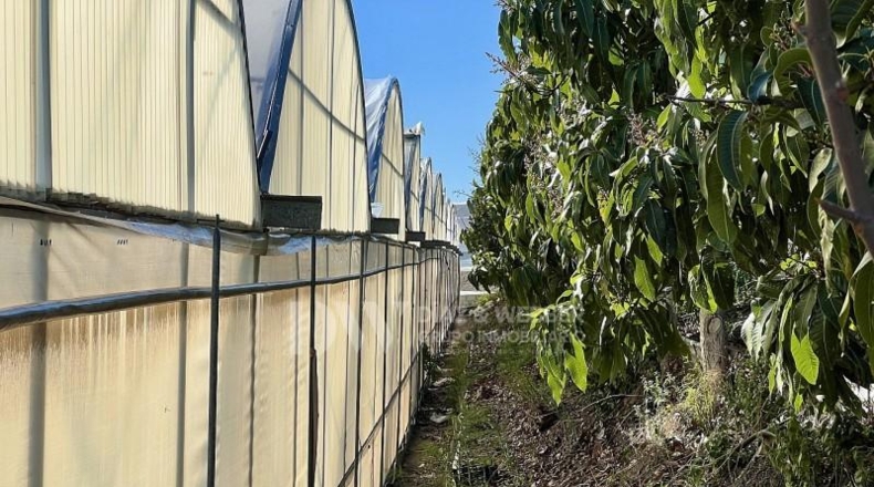 Málaga - Algarrobo - 6000m2