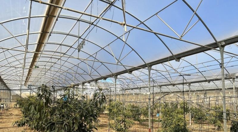 Málaga - Algarrobo - 6000m2