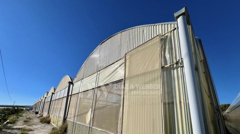 Málaga - Algarrobo - 6000m2