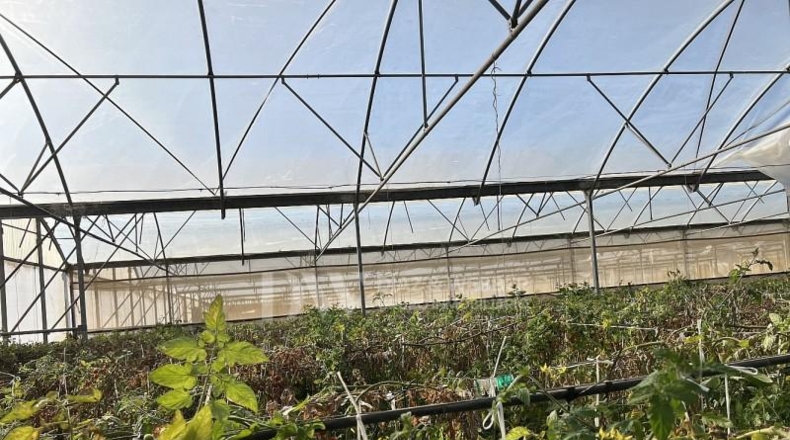 Málaga - Algarrobo - 6000m2