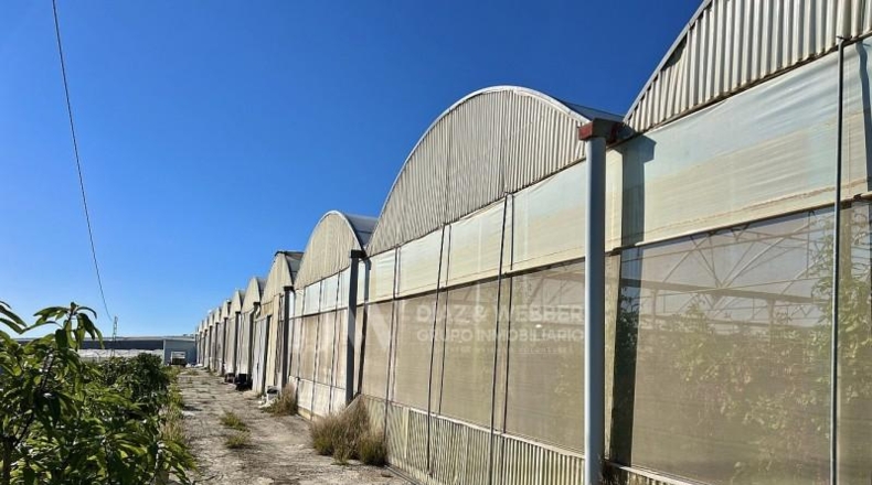 Málaga - Algarrobo - 6000m2