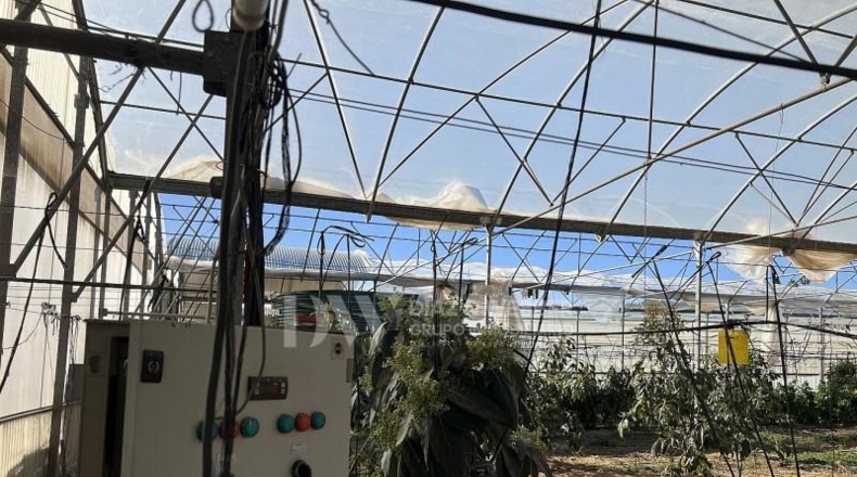 Málaga - Algarrobo - 6000m2