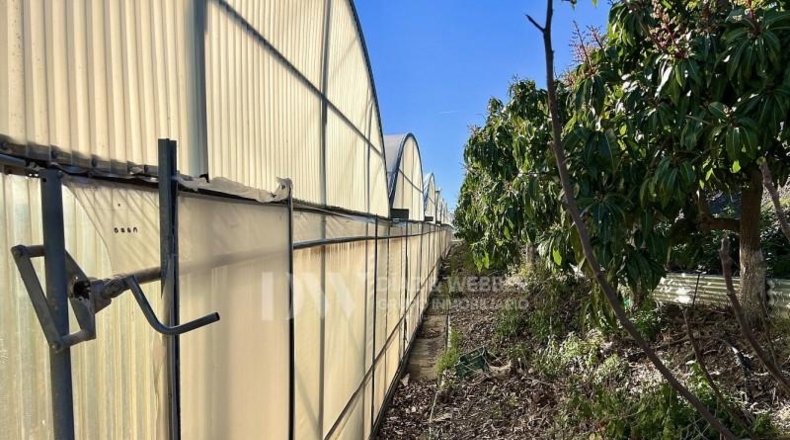 Málaga - Algarrobo - 6000m2
