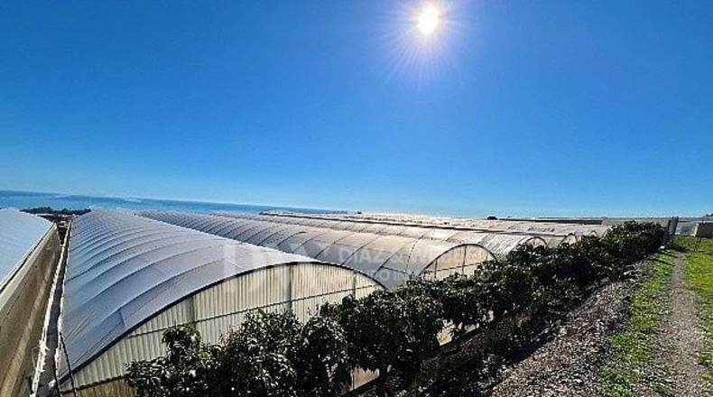 Málaga - Algarrobo - 6000m2