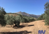 Terreny no urbanitzable en venda a la España, Antequera, ref.: TR128592 foto
