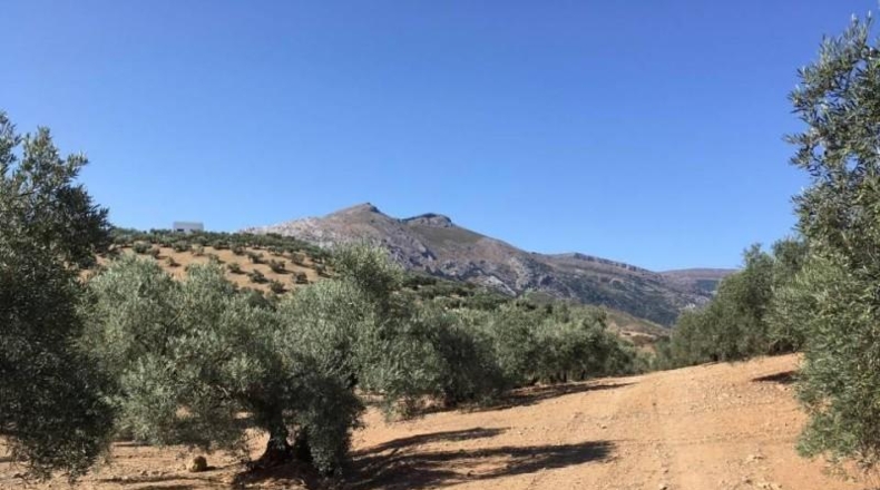 Málaga - Antequera - 124000m2