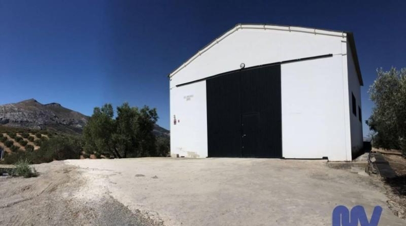 Málaga - Antequera - 124000m2