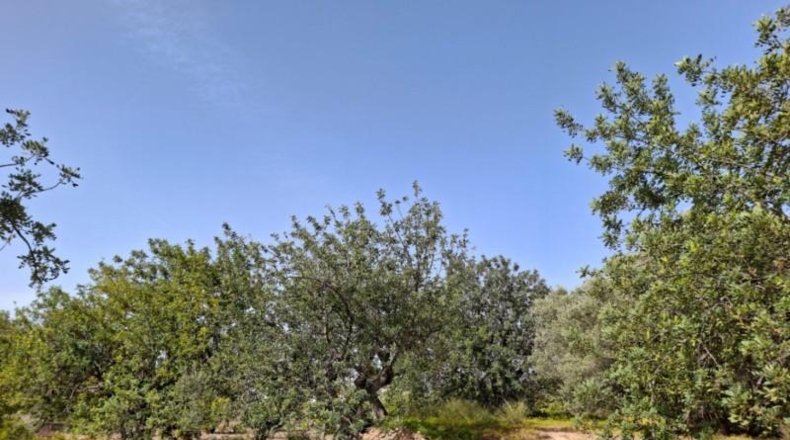 Alicante - Altea - 10250m2