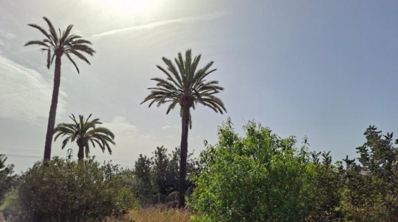 Alicante - Altea - 10250m2