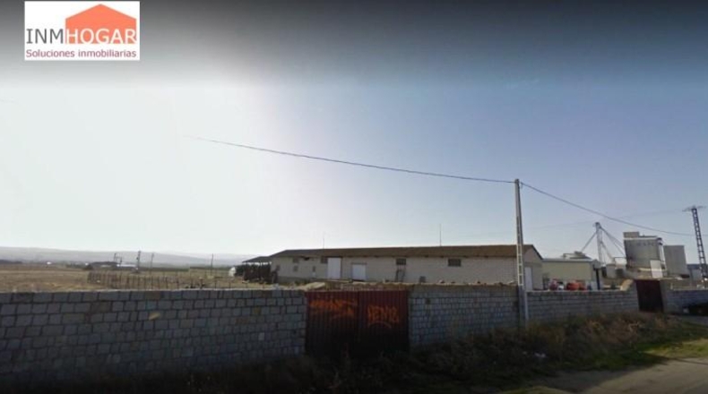 Ávila - La Colilla - 17600m2