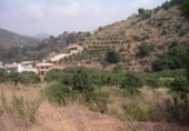 Terreny no urbanitzable en venda a la España, Campo-Mijas, ref.: TR114478 foto