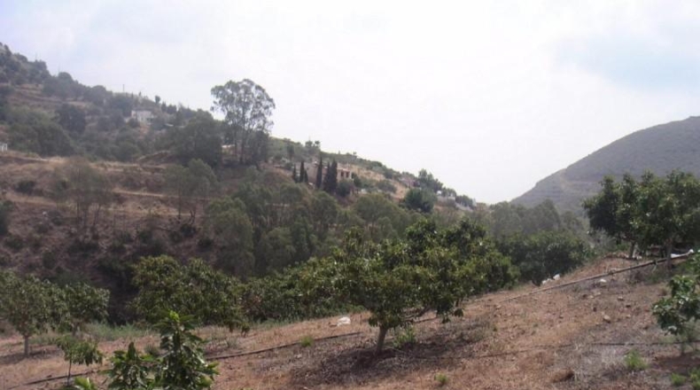 Málaga - Mijas - 55887m2