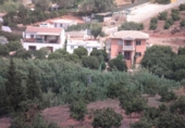 Terreny no urbanitzable en venda a la España, Campo-Mijas, ref.: TR114478 foto