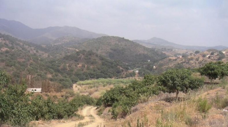 Málaga - Mijas - 55887m2