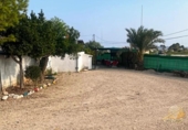 Finca rústica en venda a la España, Guardamar del Segura, ref.: TR370505 foto