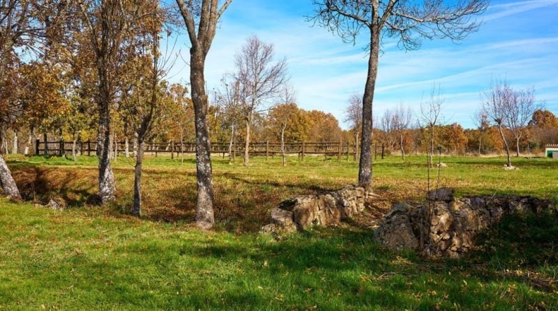 Segovia - Sotosalbos - 24093m2