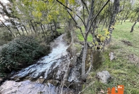 Foto 11