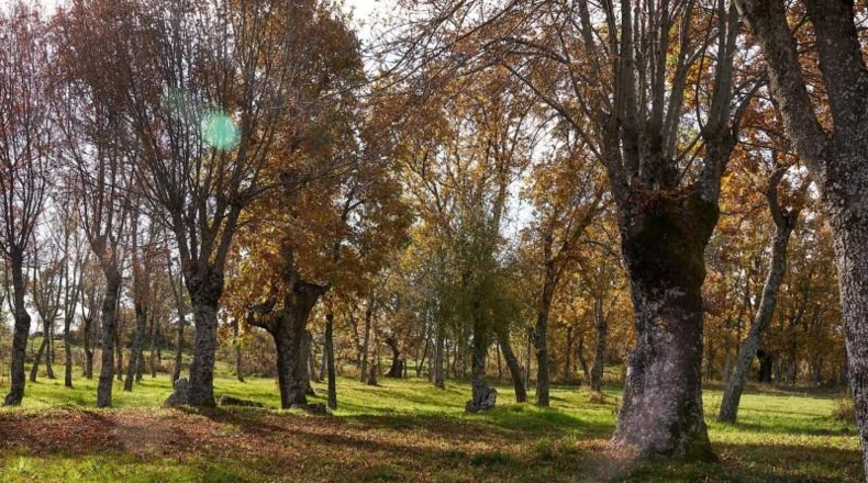 Segovia - Sotosalbos - 24093m2