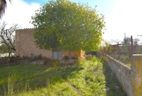 Llubí 9189&nbsp;m² 