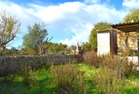 Llubí 9189&nbsp;m² 