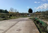 Xalet independent amb terreny en venda a la España, la Vila Joiosa, ref.: TR220542 foto