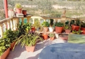 Xalet independent amb terreny en venda a la España, la Vila Joiosa, ref.: TR220542 foto