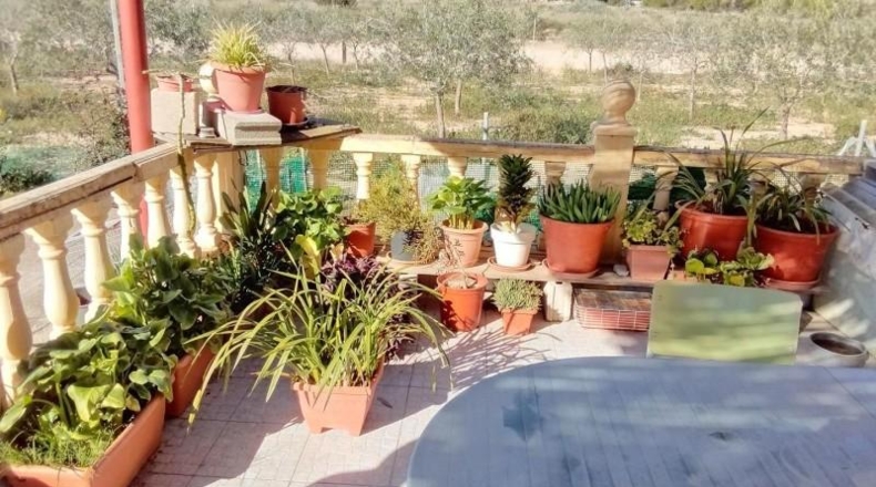 Alicante - Villajoyosa - 7000m2