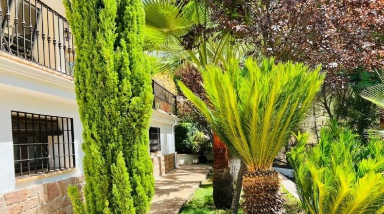 Córdoba - Córdoba - 1633m2