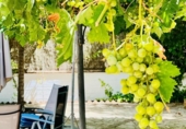 Xalet independent amb terreny en venda a la España, Còrdova, ref.: TR150845 foto