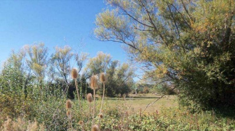 León - Villaquilambre - 2269m2
