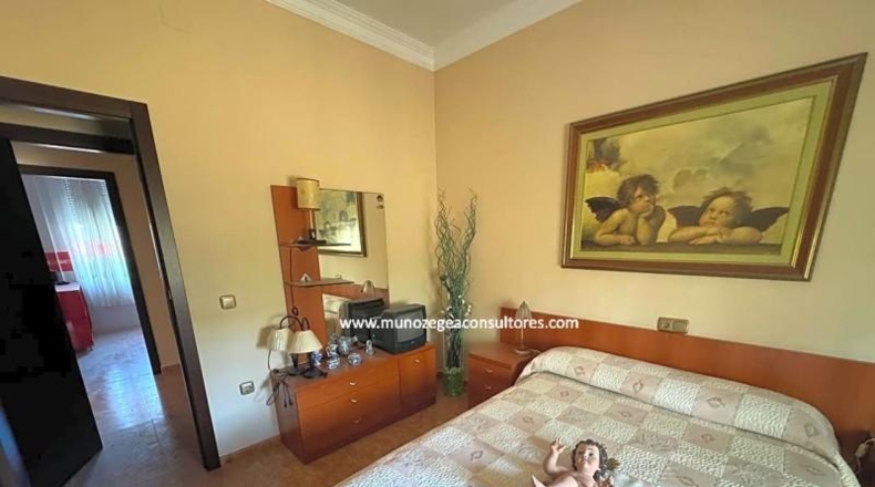 Córdoba - Moriles - 1200m2