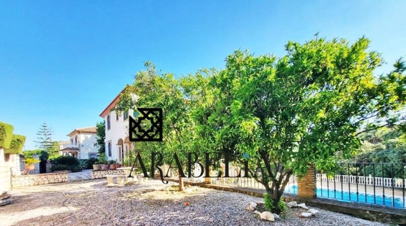 Córdoba - Córdoba - 3000m2