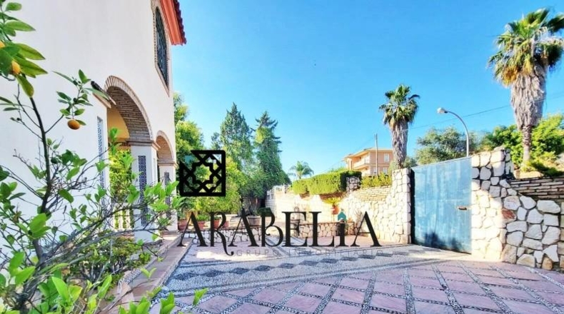 Córdoba - Córdoba - 3000m2