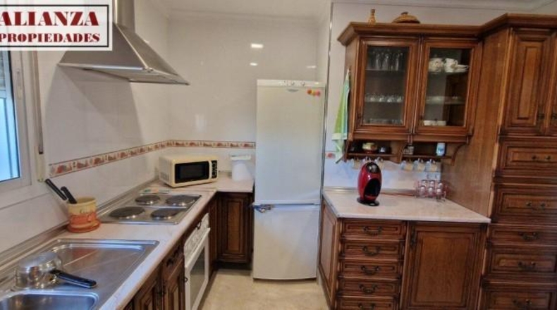Malaga - Málaga - 609m2