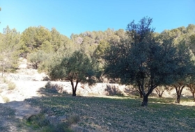Foto 14