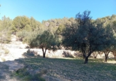Xalet independent amb terreny en venda a la España, Onil, ref.: TR331500 foto