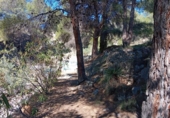 Xalet independent amb terreny en venda a la España, Onil, ref.: TR331500 foto