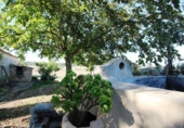 Casa de campo con terreno en venta en la España, Montuïri, ref: TR150249 foto