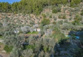 Casa de camp amb terreny en venda a la España, Sóller, ref.: TR156476 foto
