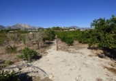 Земля на продажу у города Altea Фото