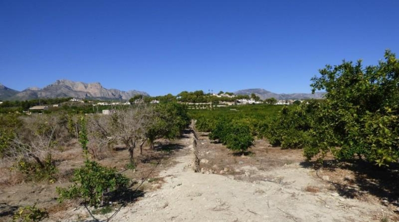 Alicante - Alfaz del Pi - 15000m2